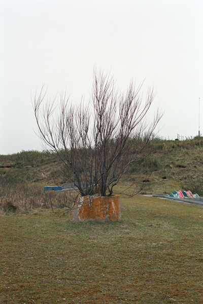 Schwere Brandung