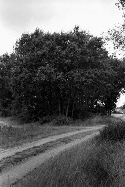 Zur Bruecke