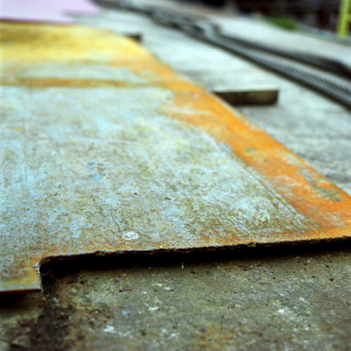 Rost